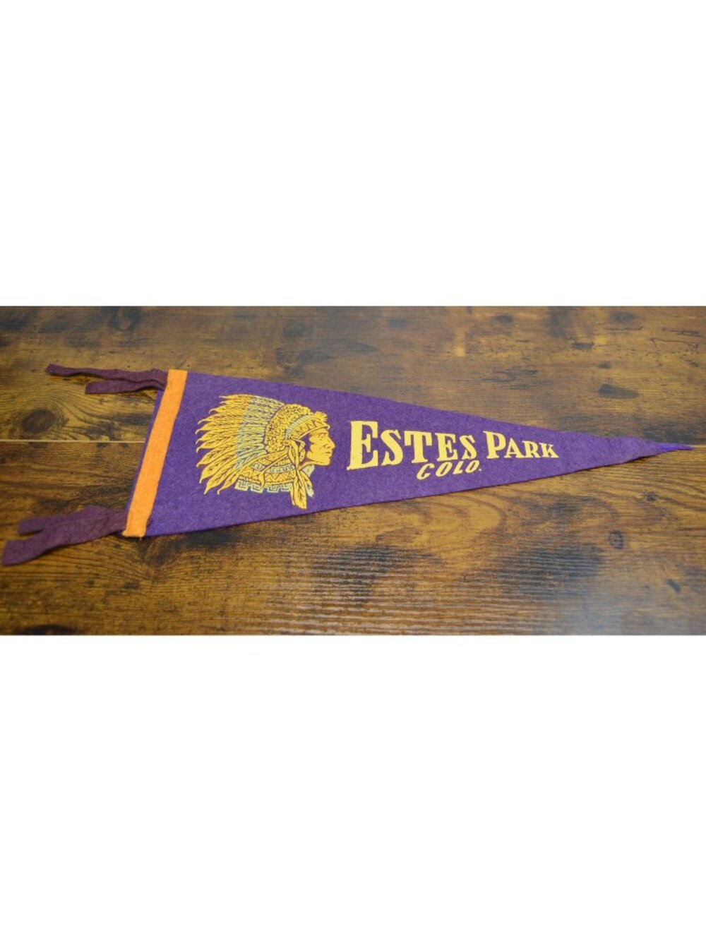 Vintage Estes Park, Colo. Felt Pennant With Native American Chief Graphic 17